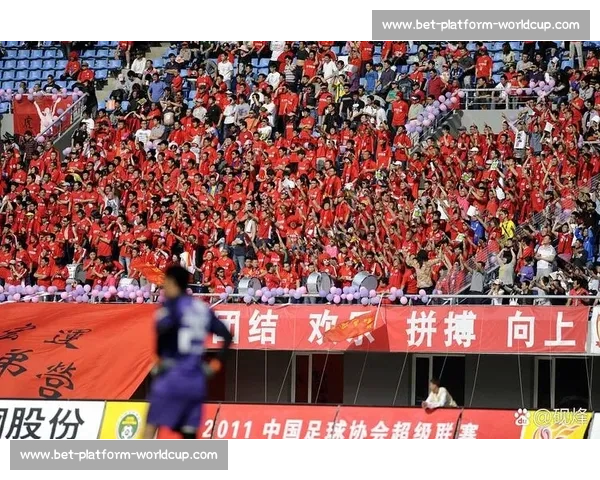 球迷力量!2026世界杯,哪里的助威声最震耳欲聋 球迷力量!2026世界杯,哪里的助威声最震耳欲聋